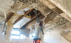 Best Mold Remediation for Healthcare Facilities  in Hampton, AR